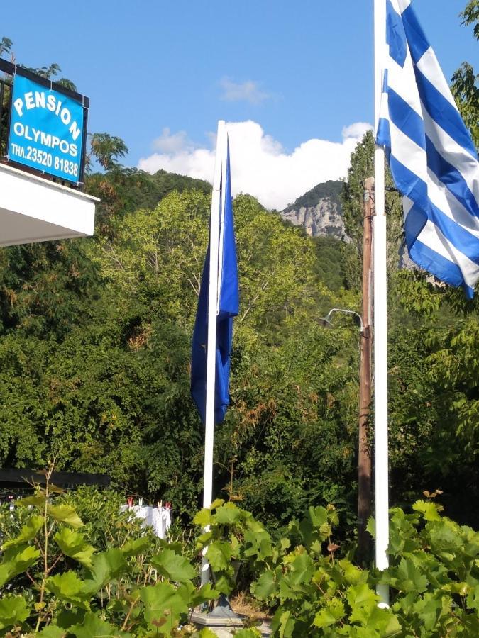 Pension Olympus Litochoro Exterior photo