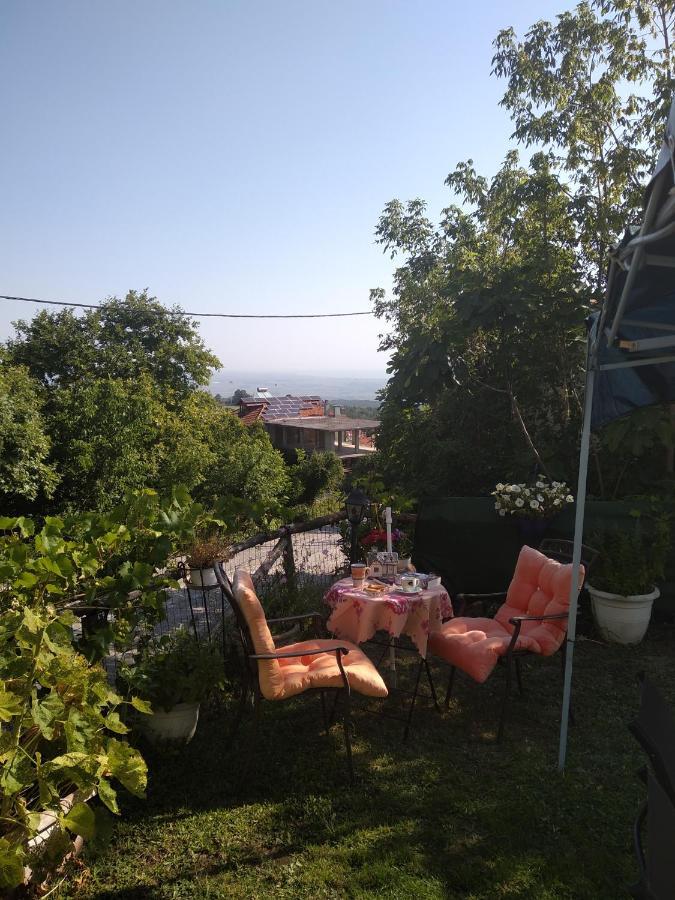 Pension Olympus Litochoro Exterior photo