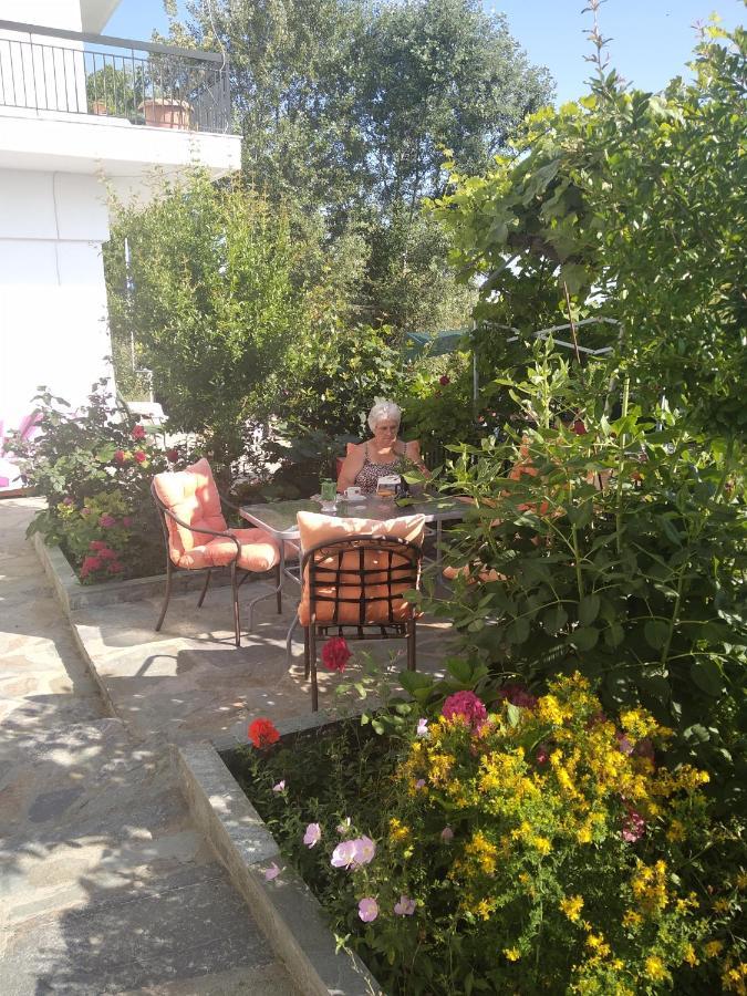 Pension Olympus Litochoro Exterior photo