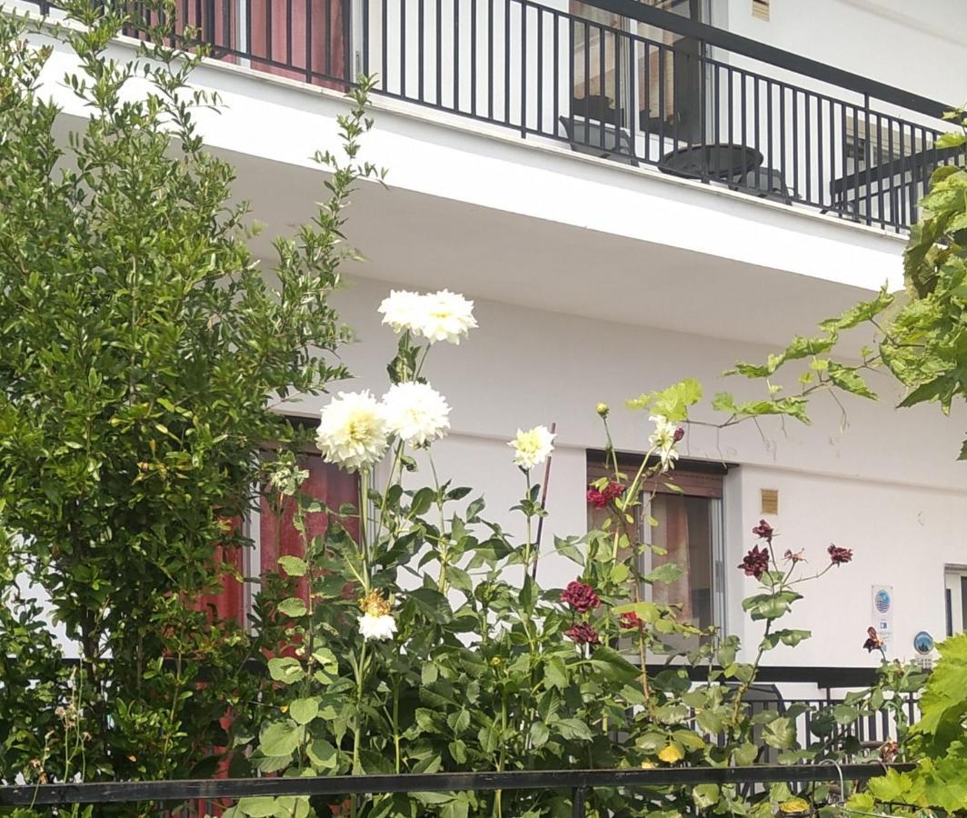 Pension Olympus Litochoro Exterior photo