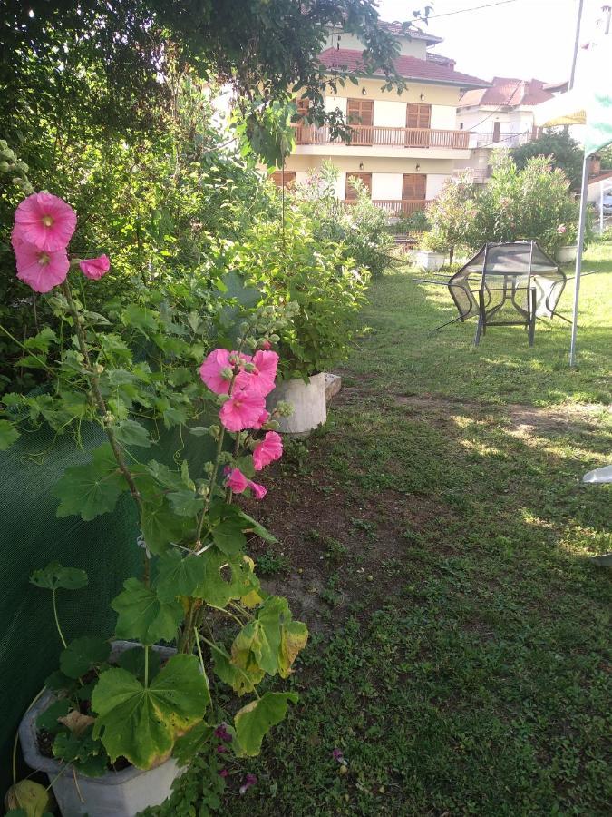 Pension Olympus Litochoro Exterior photo